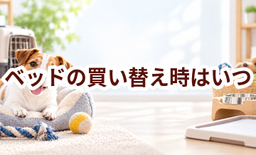 ベッドの買い替え時はいつ？安全に使うためのチェックポイント