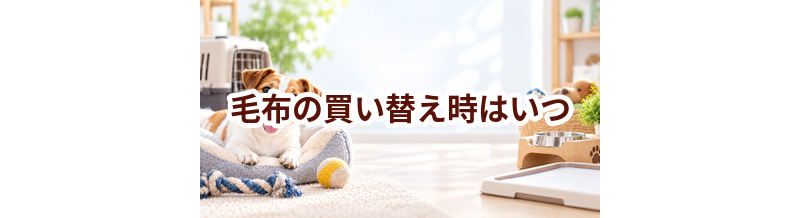 毛布の買い替え時はいつ？安全に使うためのチェックポイント