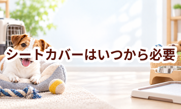 シートカバーはいつから必要？使い始めるタイミングと選び方