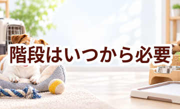 階段はいつから必要？使い始めるタイミングと選び方