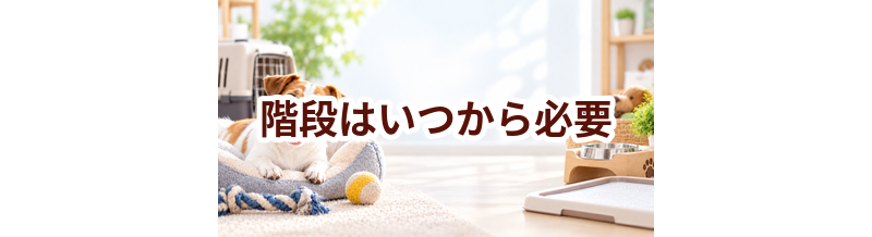 階段はいつから必要？使い始めるタイミングと選び方