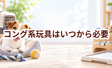 コング系玩具はいつから必要？使い始めるタイミングと選び方