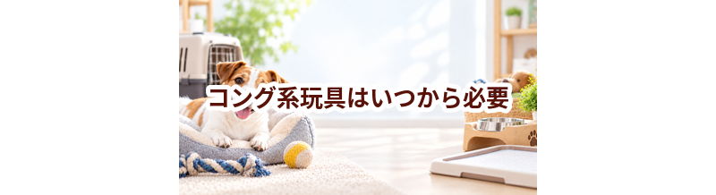 コング系玩具はいつから必要？使い始めるタイミングと選び方