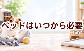 ベッドはいつから必要？使い始めるタイミングと選び方