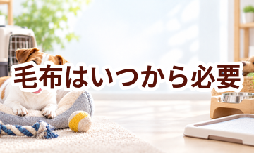 毛布はいつから必要？使い始めるタイミングと選び方