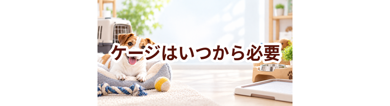 ケージはいつから必要？使い始めるタイミングと選び方