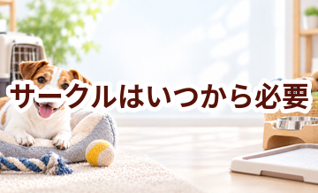 サークルはいつから必要？使い始めるタイミングと選び方