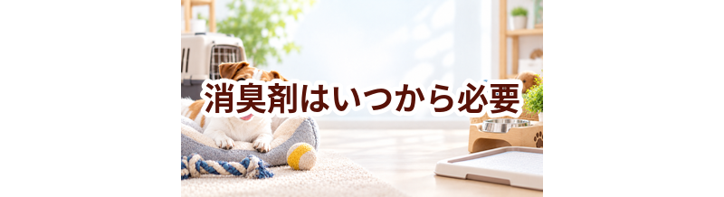 消臭剤はいつから必要？使い始めるタイミングと選び方