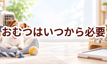 おむつはいつから必要？使い始めるタイミングと選び方