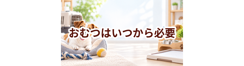 おむつはいつから必要？使い始めるタイミングと選び方