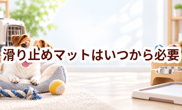 滑り止めマットはいつから必要？使い始めるタイミングと選び方