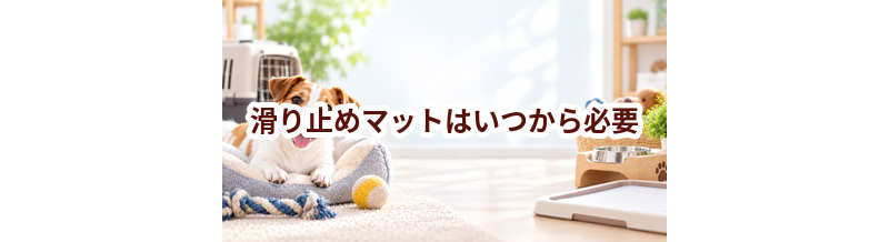 滑り止めマットはいつから必要？使い始めるタイミングと選び方
