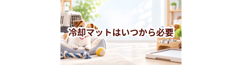 冷却マットはいつから必要？使い始めるタイミングと選び方