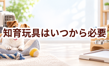 知育玩具はいつから必要？使い始めるタイミングと選び方