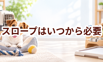 スロープはいつから必要？使い始めるタイミングと選び方