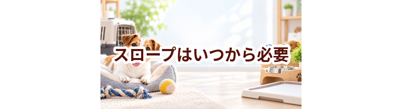 スロープはいつから必要？使い始めるタイミングと選び方
