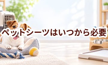 ペットシーツはいつから必要？使い始めるタイミングと選び方