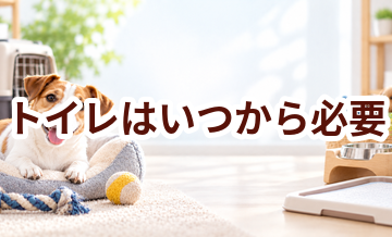 トイレはいつから必要？使い始めるタイミングと選び方