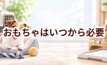 おもちゃはいつから必要？使い始めるタイミングと選び方
