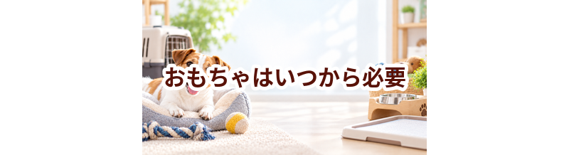 おもちゃはいつから必要？使い始めるタイミングと選び方