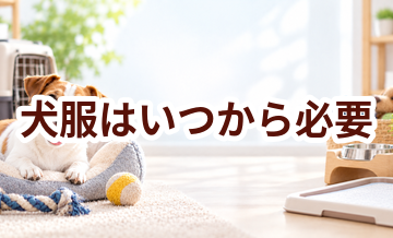犬服はいつから必要？使い始めるタイミングと選び方