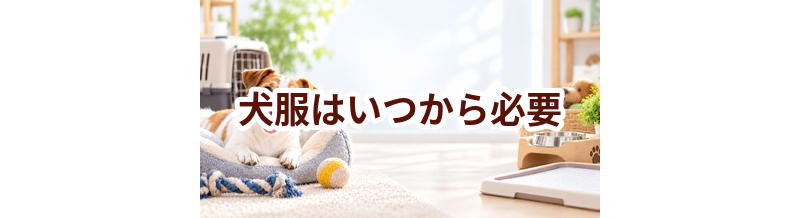 犬服はいつから必要？使い始めるタイミングと選び方