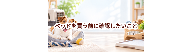 ベッドを買う前に確認したいこと｜愛犬と暮らしに合うかチェック