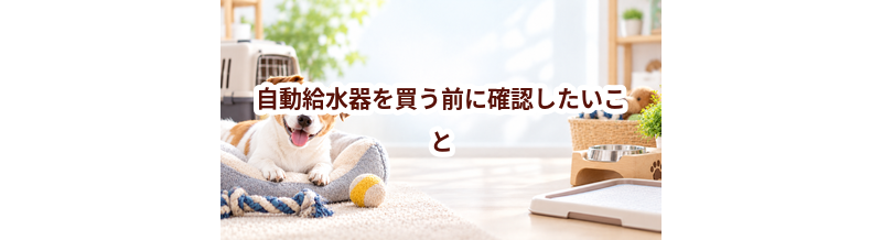 自動給水器を買う前に確認したいこと｜愛犬と暮らしに合うかチェック