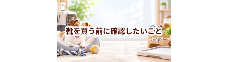 靴を買う前に確認したいこと｜愛犬と暮らしに合うかチェック