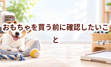 おもちゃを買う前に確認したいこと｜愛犬と暮らしに合うかチェック