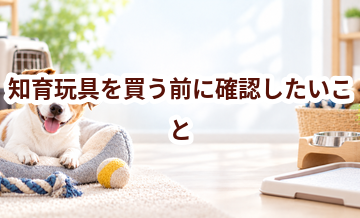 知育玩具を買う前に確認したいこと｜愛犬と暮らしに合うかチェック