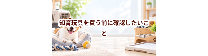 知育玩具を買う前に確認したいこと｜愛犬と暮らしに合うかチェック