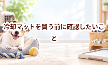 冷却マットを買う前に確認したいこと｜愛犬と暮らしに合うかチェック