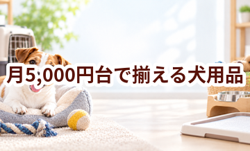 月5,000円台で揃える犬用品｜優先して買うものと後回しにできるもの