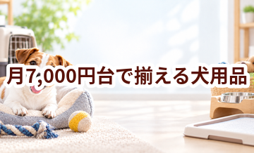 月7,000円台で揃える犬用品｜優先して買うものと後回しにできるもの