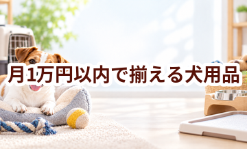 月1万円以内で揃える犬用品｜優先して買うものと後回しにできるもの