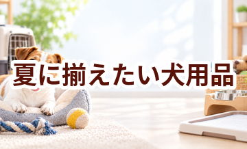夏に揃えたい犬用品｜快適に過ごすための買い物リスト