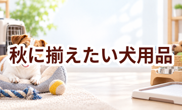 秋に揃えたい犬用品｜快適に過ごすための買い物リスト