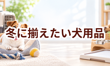 冬に揃えたい犬用品｜快適に過ごすための買い物リスト