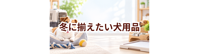冬に揃えたい犬用品｜快適に過ごすための買い物リスト