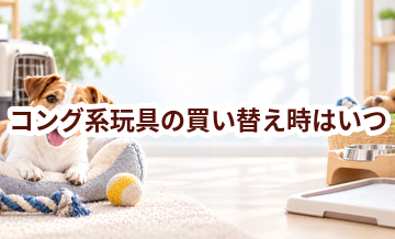 コング系玩具の買い替え時はいつ？安全に使うためのチェックポイント