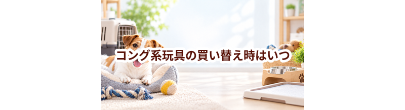 コング系玩具の買い替え時はいつ？安全に使うためのチェックポイント