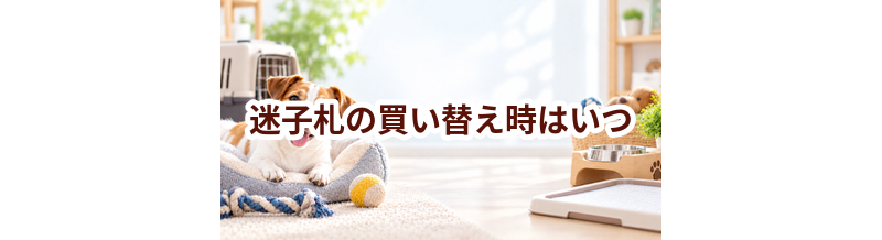 迷子札の買い替え時はいつ？安全に使うためのチェックポイント