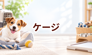 ケージはいくら？価格帯と長く使うための選び方