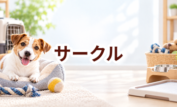 サークルはいくら？価格帯と長く使うための選び方