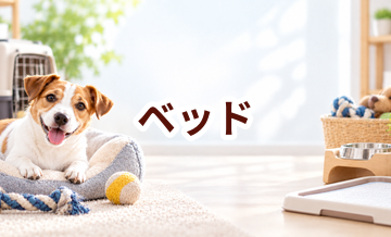 ベッドはいくら？価格帯と長く使うための選び方