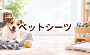 ペットシーツはいくら？価格帯と長く使うための選び方