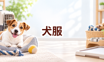 犬服はいくら？価格帯と長く使うための選び方