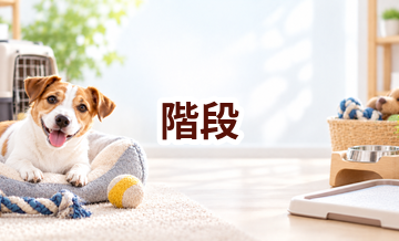 階段はいくら？価格帯と長く使うための選び方