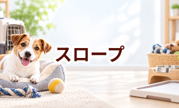 スロープはいくら？価格帯と長く使うための選び方